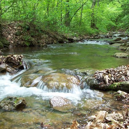 Cabin Creekwood Lyndhurst Ngoại thất bức ảnh