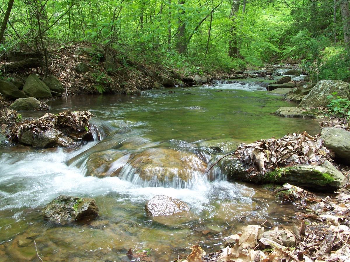 Cabin Creekwood Lyndhurst Ngoại thất bức ảnh